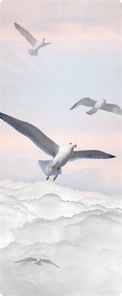 Journey Home Clouds Birds Pink